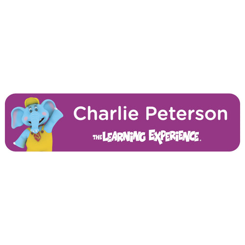 TLE Rectangle Name Labels Name Bubbles