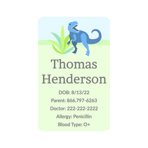 car seat labels dinosaurs green