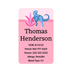car seat labels dinosaurs pink