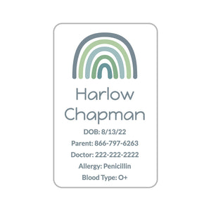 luggage labels pack neutral rainbow coastal mist