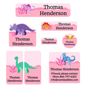 mega daycare labels pack dinosaurs pink