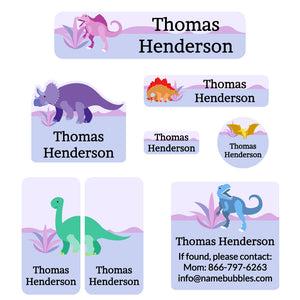 mega daycare labels pack dinosaurs purple