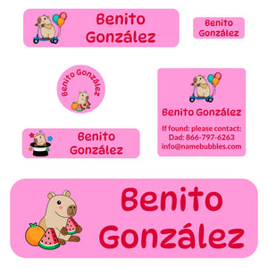school labels pack capybara pink