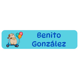 rectangle name labels in capybara blue