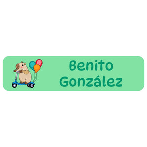 rectangle name labels in capybara green
