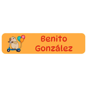 rectangle name labels in capybara orange