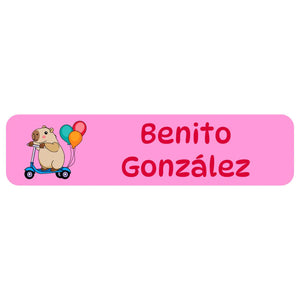 rectangle name labels in capybara pink