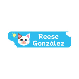 cats blue small rectangle name labels