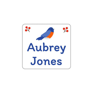 square clothing name labels for kids in bluebird