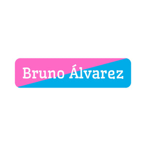 two-tone pink bright blue small rectangle name labels