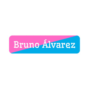 two-tone pink bright blue small rectangle name labels