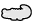 Alligator