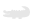 Alligator